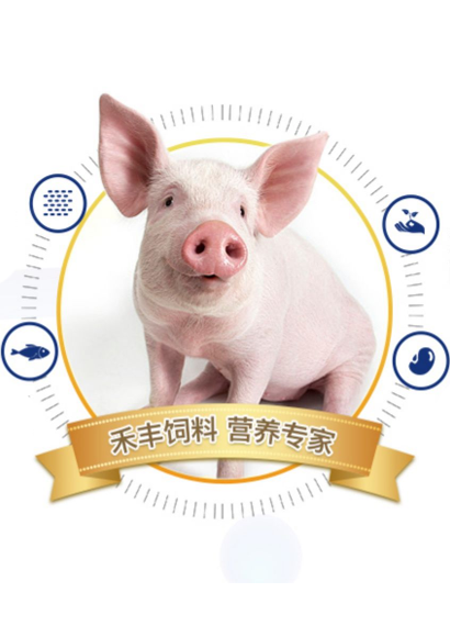 西安禾丰淘宝店