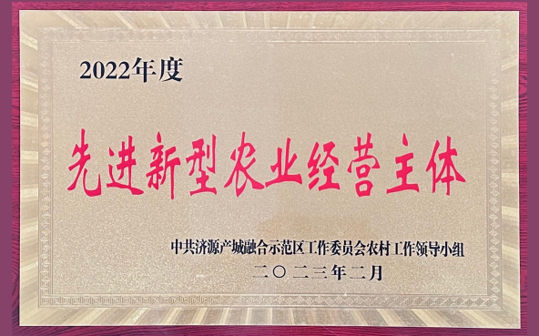网站新闻封面.png