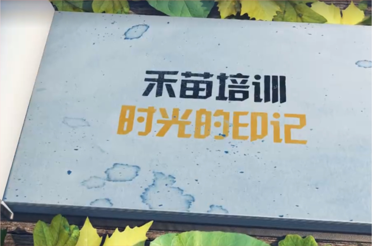 禾丰股份禾苗十二期培训